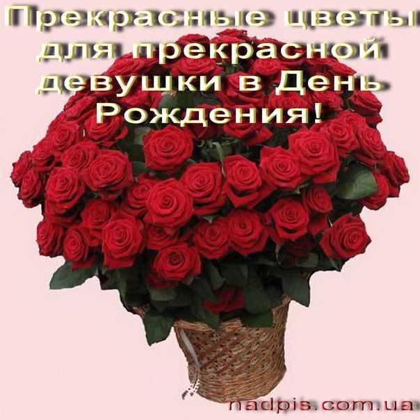 Хорошие поздравления девушки с днем рождения