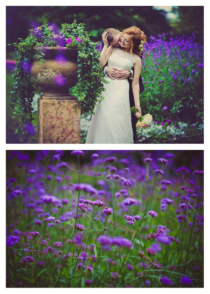 Фото 1477169 в коллекции Мои фотографии - Kookoosh