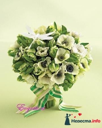 Фото 239767 в коллекции Мои фотографии - Darly