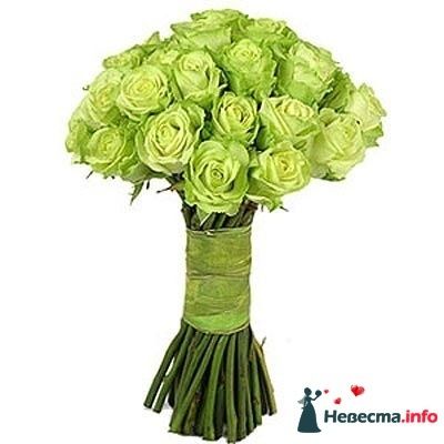 Фото 239773 в коллекции Мои фотографии - Darly