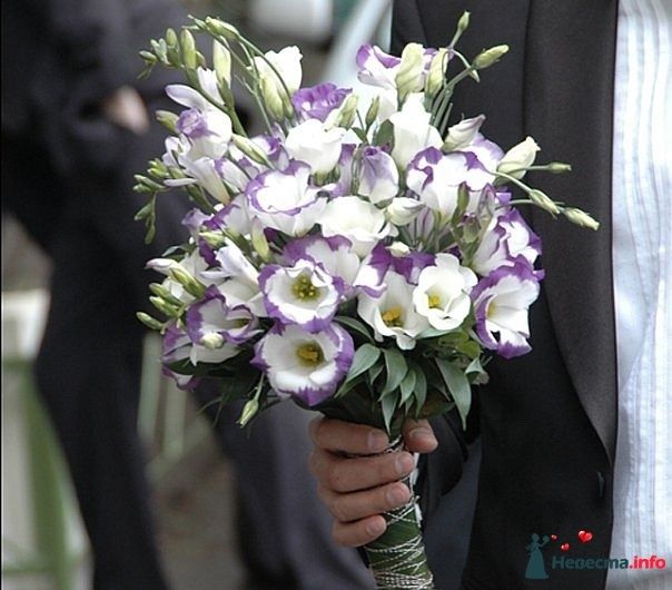 Букет невесты из бело-фиолетовых эустом в стиле рустик, декорированный бечевкой и зеленью  - фото 240467 Darly