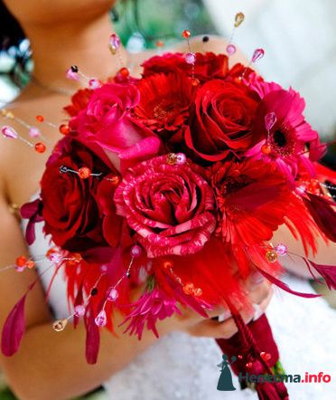 Фото 243515 в коллекции Мои фотографии - Darly