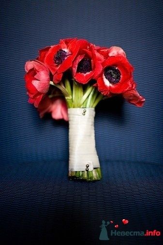 Фото 243529 в коллекции Мои фотографии - Darly