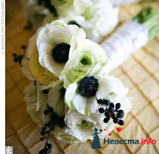 Фото 243741 в коллекции Мои фотографии - Darly