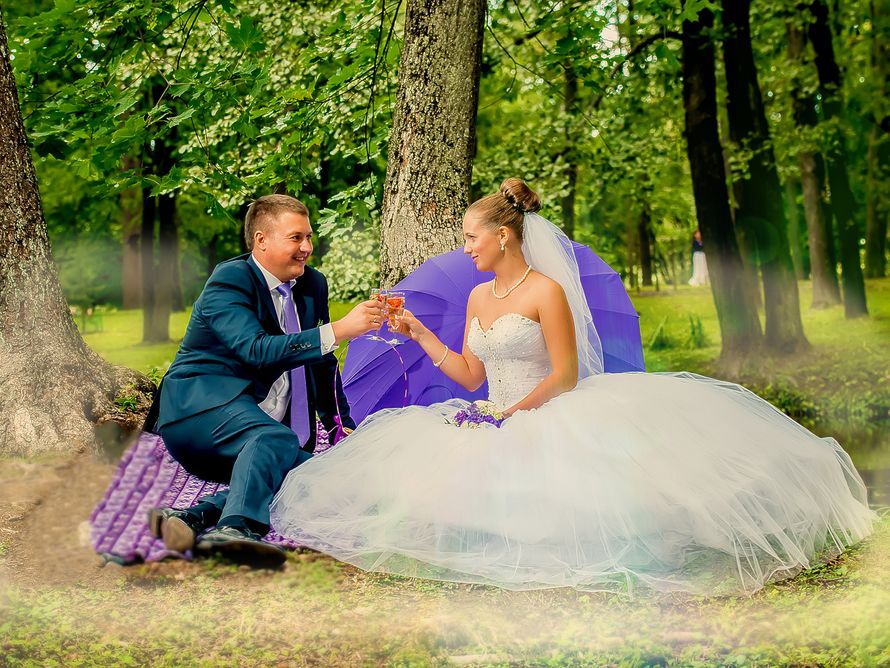 Жених и невеста сидят под деревом на фоне сиреневого зонта и пьют шампанское - фото 1628521 Студия свадебной фотографии Прогресс