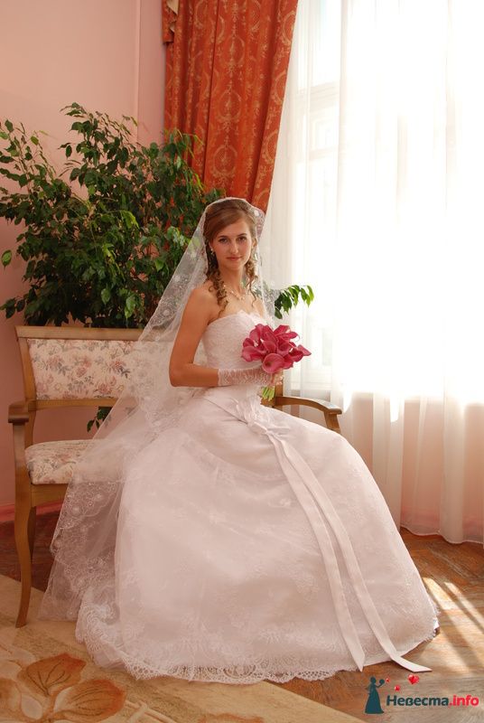 Фото 183966 в коллекции My wedding day - sashulik