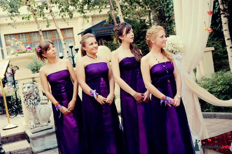 Подружки невесты в фиолетовом - фото 158664 Алено4ка