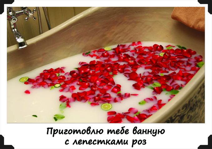 Опишите фотографию здесь