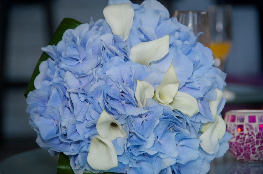 Букет невесты из голубых гортензий, зеленых листьев и белых калл - фото 916251 Невеста01