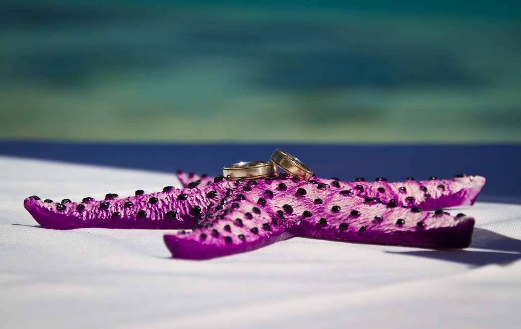 Морская звезда в качестве подушечки для колец на свадьбе в Доминикане - фото 909071 Фотограф Александр Морев