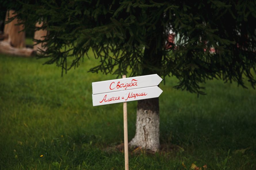 На земле под елью стоит белая табличка-указатель - фото 1295071 Свадебный фотограф Светлана Оболонкова