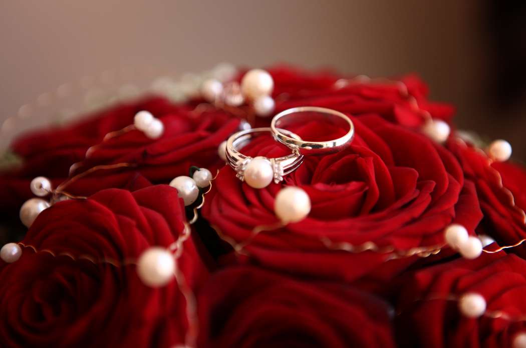 Обручальные кольца, на фоне красных роз и жемчуга. - фото 858037 Фотограф Лебедева Вероника