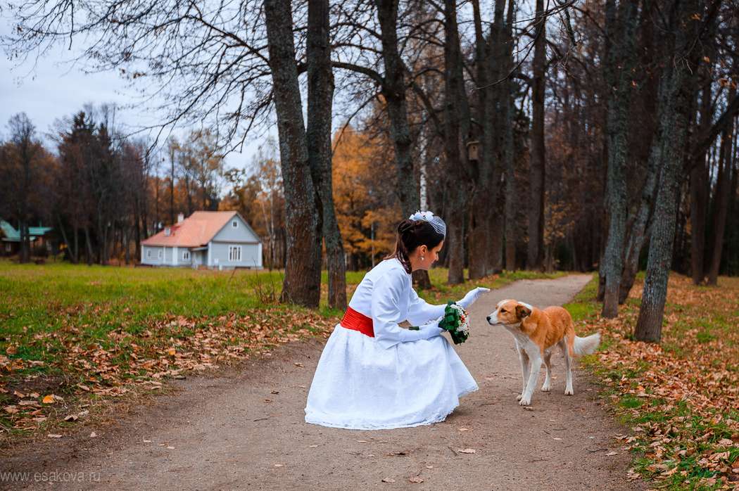 и собачки... - фото 1403343 Свадебный и семейный фотограф Мария Есакова