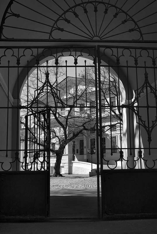 Юсуповский дворец - фото 936197 Видеограф Александр Артемьев