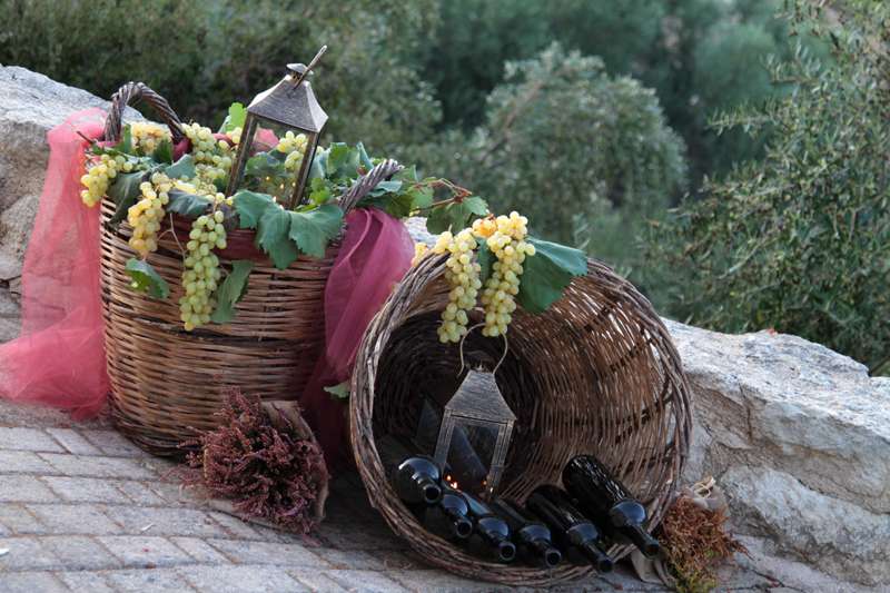 На фоне зеленых деревьев стоят большие деревянные корзины с виноградом и бутылками вина - фото 1511855 Венчание и свадебные церемонии на Крите