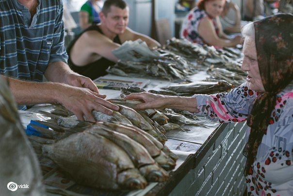 Фото 2687925 в коллекции Мои фотографии - наперегонки