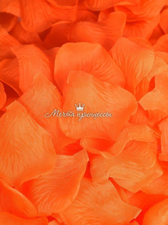 оранжевые лепестки. оранжевые лепестки. красно-оранжевый цвет в природе. оранжевые обои. цветотерапия оранжевый.