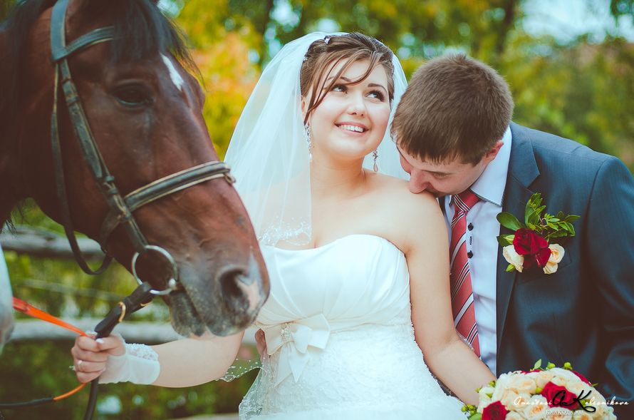 Свадебная фотосессия с лошадками - фото 2265696 Фотограф Анастасия Колесникова
