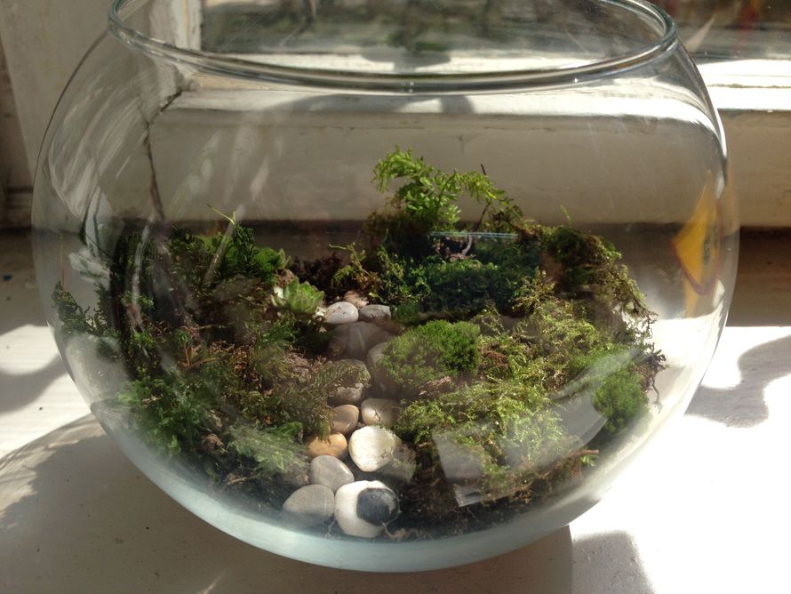 Фото 2846989 в коллекции Мои мастер-классы - Anna Smirnova