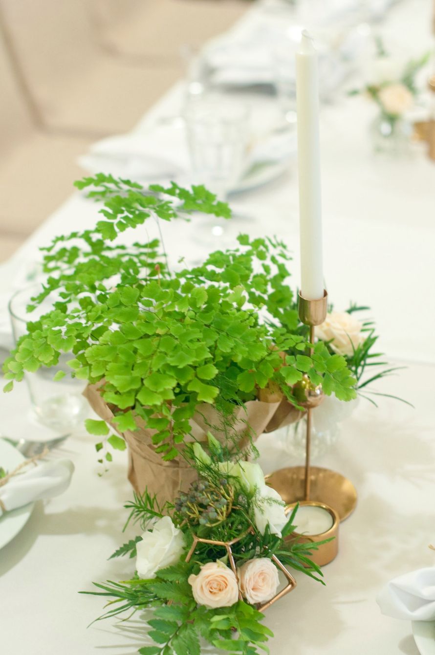 Фото 15531046 в коллекции Зеленая свадьба в модном стиле "Greenery" - Студия флористики и декора "Глориоза"
