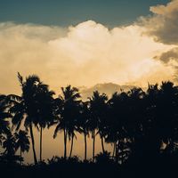 Свадебная фотосессия на берегу океана на острове Шри-Ланка. Закат