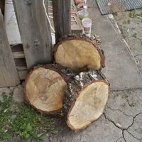 Спилы на фуршетный стол