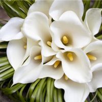 Букет невесты от мастерской красивых праздников "Красиво Жить"