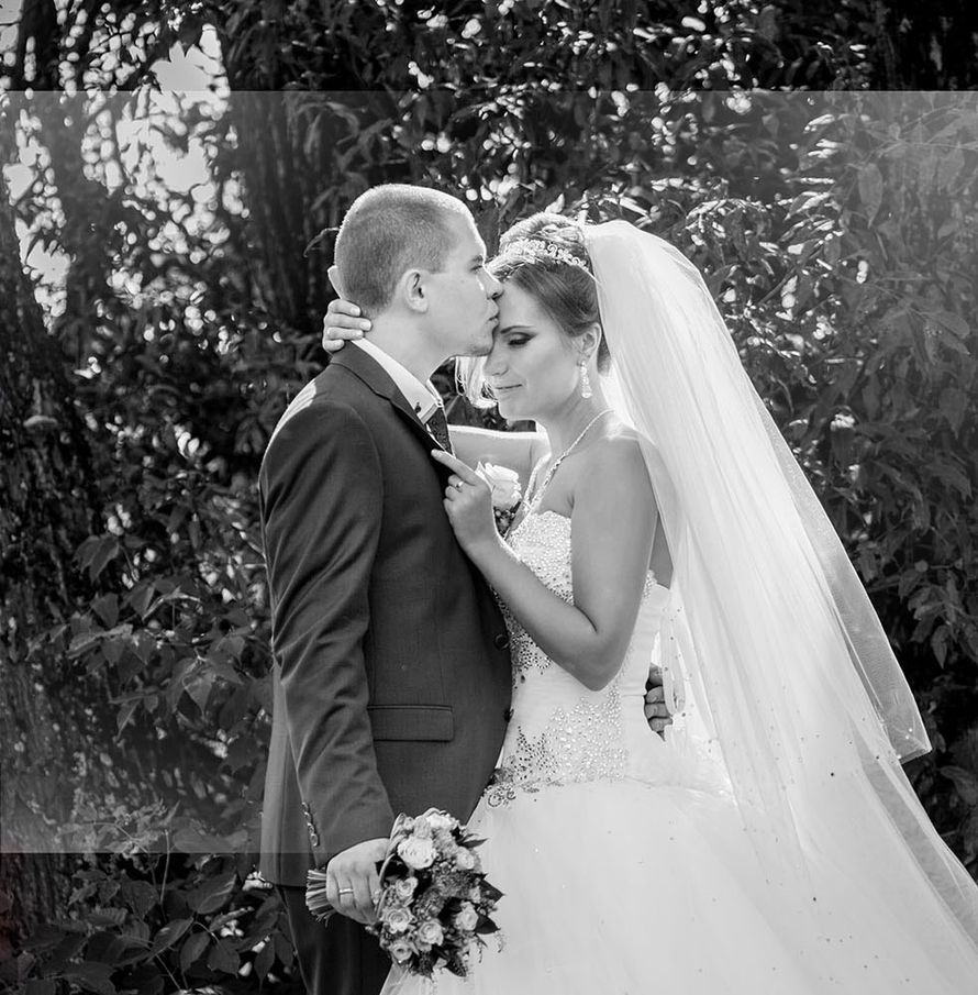 Нежность - фото 3629519 We-wed-profi - видеосъёмка