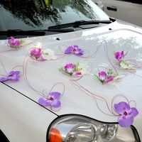 Бело-фиолетовые орхидеи с сиреневыми розочками