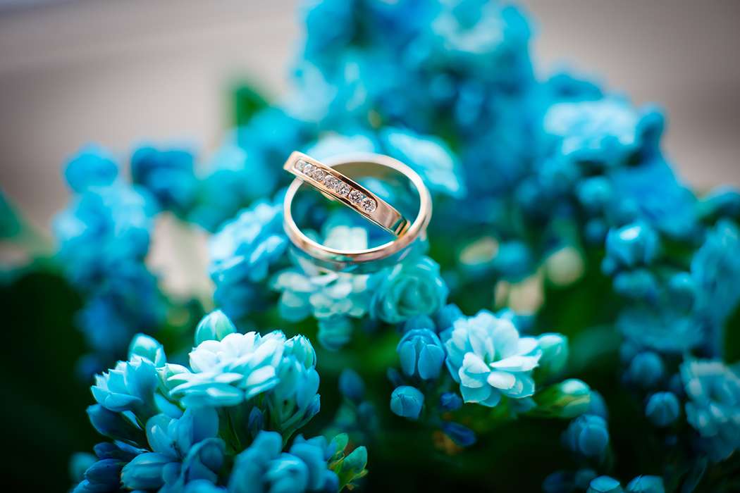 Обручальные кольца, с бриллиантами на одном из колец на фоне нежных цветов. - фото 1988213 Видеограф Олег Штык