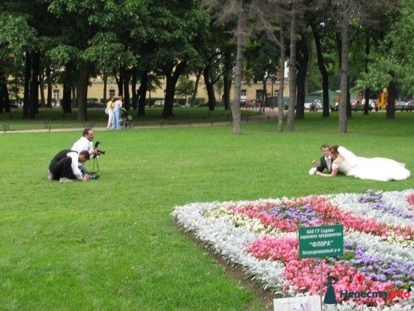 Прогулка. Всем известная полянка у Медного всадника :))) - фото 162298 Видеограф Виталий Бахтин