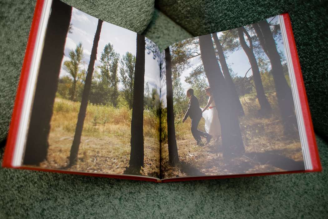 #фотокнига, #book, #weddingbook, #свадебнаякнига, #белгород, #флур - фото 4024801 Фотограф Евгений Флур