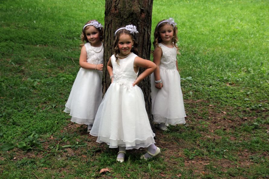 Фото 2573785 в коллекции Мои фотографии - Шоу тройняшек на свадьбу "Цветочницы"