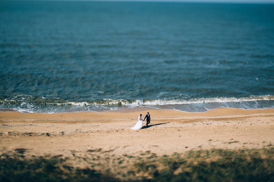 По песчаному побережью идут влюбленные, жених в черном костюме ведет за руку невесту в белом пышном платье и фате, позади них - фото 3046133 Bree