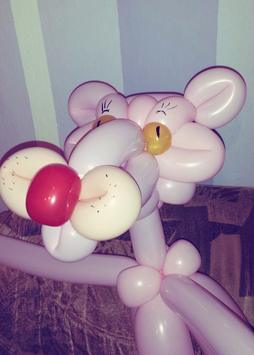 Фото 12078468 в коллекции Шары - "Рейвуд" - организация свадьбы