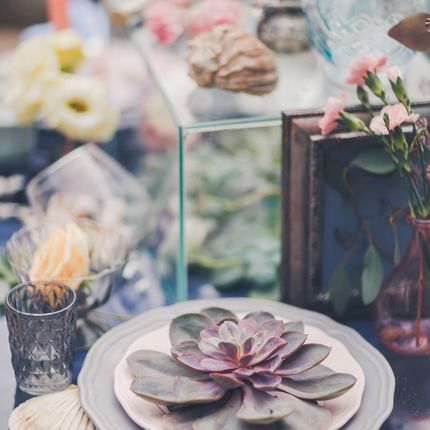 Оформление фотосессии "На берегу неба"