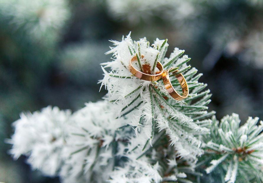 Свадьба зимой - фото 3552621 WedPhotoLine - фотосъёмка