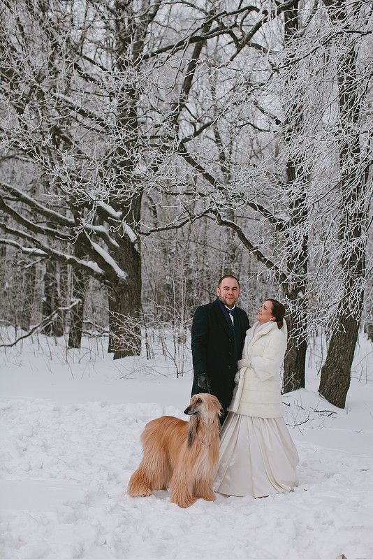 фотосессия зимняя свадьба в лесу с собакой - фото 8263032 Photohoney - свадебная и семейная фотография