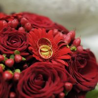 Красный букет невесты из гербер и роз и обручальные кольца