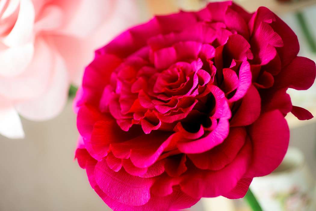 Огромная роза из бумаги - фото 4717095 Студия  декора "Детали"