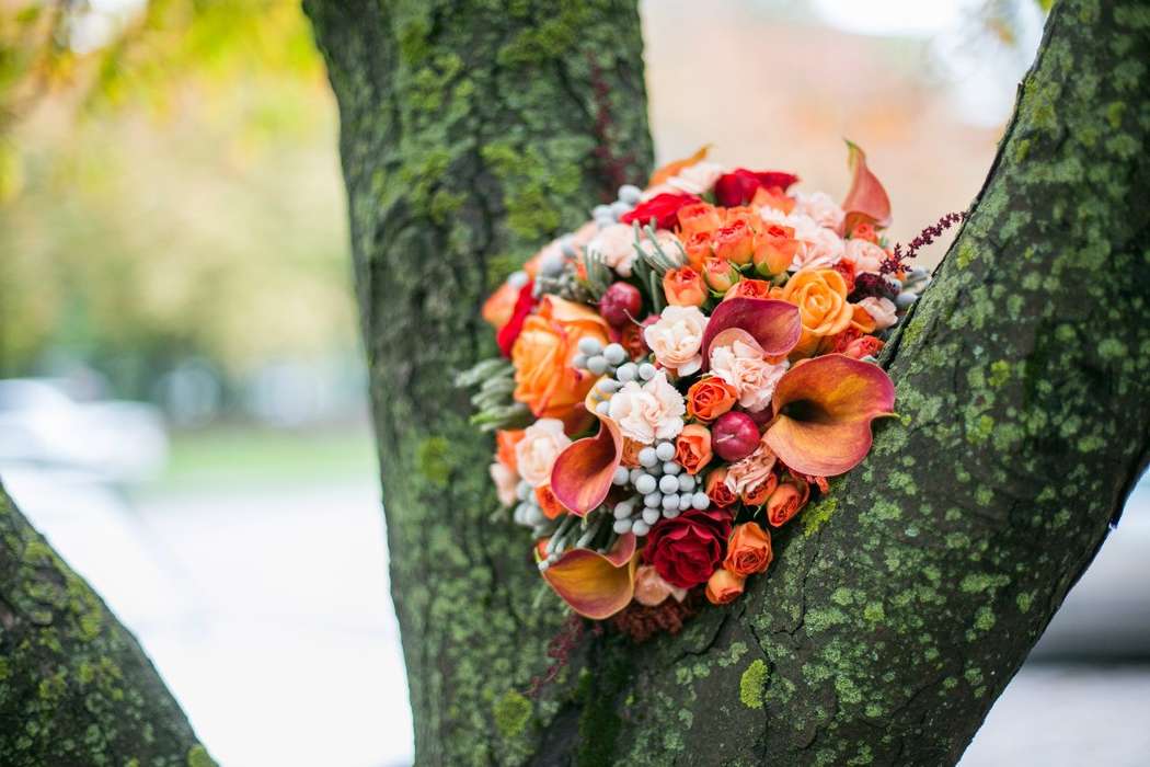 Осенний букет невесты из оранжевых калл и роз, серой брунии, красных и розовых роз  - фото 3097359 Флористика и декор "Vanilla"