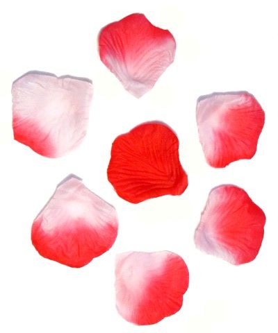  Лепестки роз малиновые