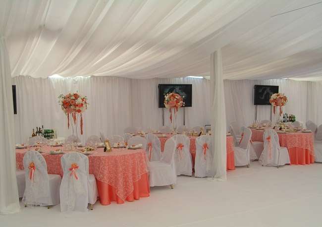 Нежное оформление шатра на свадьбу - фото 3174803 ЭкоDekor - декор свадеб