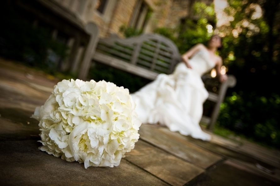 Букет невесты из белых гортензий и пионов в круглом стиле  - фото 3517669 Алена Толедо - свадебный распорядитель