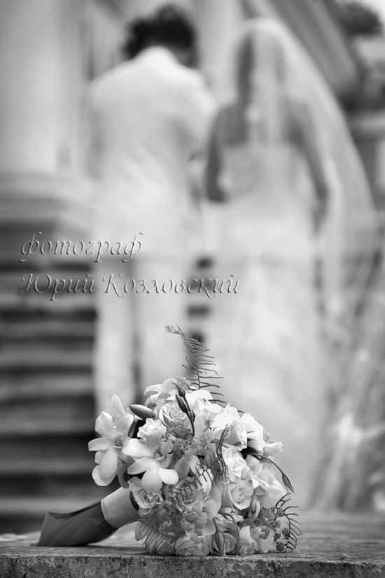 Фото 3546547 в коллекции Портфолио - Фотограф Юрий Козловский