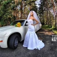 Подсолнухи