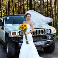 Подсолнухи