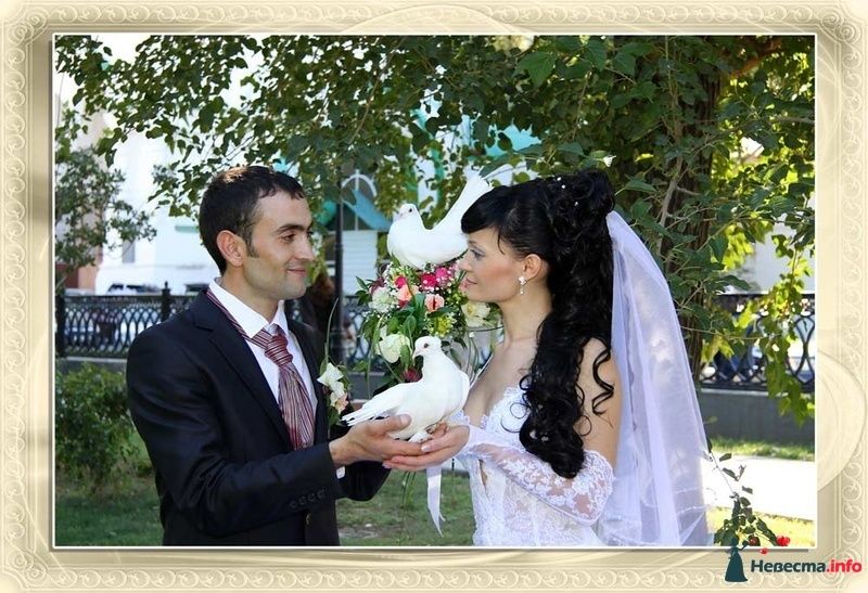 Фото 216255 в коллекции Свадьба Иван и Алёна - Фотограф Валерий Петрухин