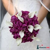 pink-roses-white-calla-bouquet