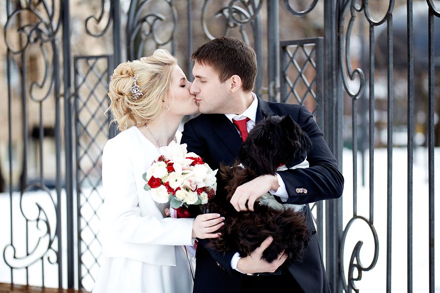 Фото 15164560 в коллекции Виталий и Светлана - Слава Гребенкин - фотограф